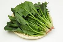 菠菜检测机构，专业第三方菠菜检测机构