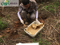 土壤检测常规五项-深圳市土壤环境评估单位