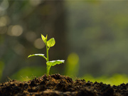 制砖污泥总汞检测