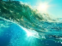 海洋沉积物中理化分析的检测