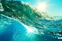 海洋沉积物中理化分析的检测