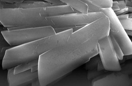 石墨烯及制品形貌分析SEM（可使用科技创新券）