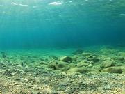 海洋沉积物检测