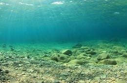 海洋沉积物检测