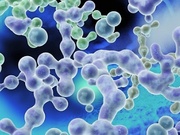 微量元素分析 糖类物质分析