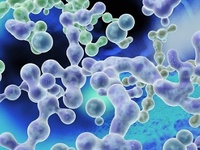 植物代谢产物检测 生物分析检测