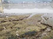 废水中阴离子检测
