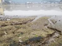 废水中阴离子检测