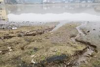 废水中阴离子检测