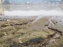废水中阴离子检测