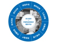 禾川化学案例解析| 硅片清洗剂研发