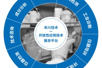 禾川化学案例解析| 硅片清洗剂研发