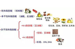 饱和脂肪酸检测