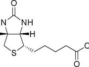 酵母蛋白颗粒生物素检测