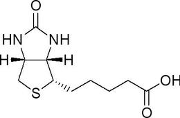酵母蛋白颗粒生物素检测