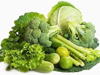 食品微生物