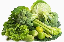 食品微生物
