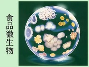 食品微生物