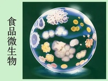 食品微生物