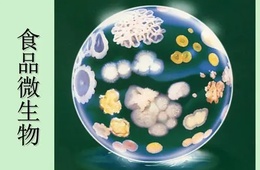 食品微生物