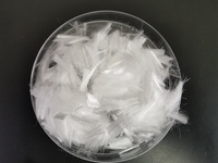 聚丙烯腈纤维检测