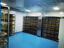 一次性卫生用品 毒理安全性测试