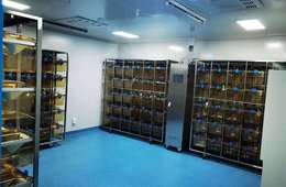 一次性卫生用品 毒理安全性测试