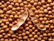 大豆磷脂中磷脂酰胆碱含量测定