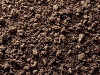 土壤中重金属含量检测