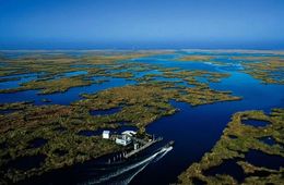 地表水溶解氧检测