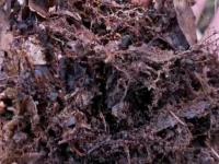 土壤腐殖质检测