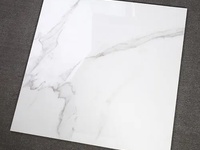 抛釉砖检测