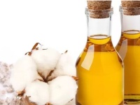 棉籽油酸值检测|棉籽油色泽检测