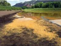 河流沉积物中重金属检测|土壤有机污染物检测