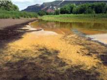 河流沉积物中重金属检测|土壤有机污染物检测