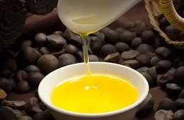 核桃油检测