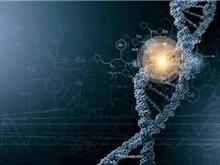 毒理测试和动物实验|毒理安全性评价|急性经口毒性试验|动物设计性试验