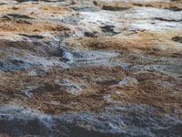盐渍土pH值检测|盐渍土含量检测