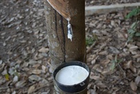 混炼胶检测方法