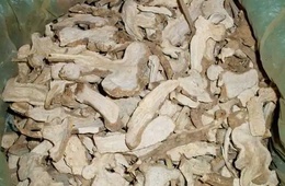 白术成分检测|白术含量检测
