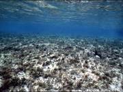 海洋沉积物检测