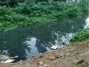 黑臭水治理|水质检测|废水污水检测|水质治理检测|环境水质检测