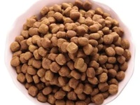 宠物食品微生物检测|宠物食品兽药残留检测