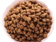 宠物食品微生物检测|宠物食品兽药残留检测