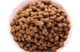 宠物食品微生物检测|宠物食品兽药残留检测