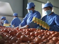 禽蛋产业快速检测质控方案