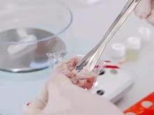 食品快速检测 