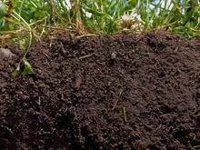 土壤中重金属元素检测