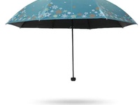 晴雨伞检测