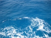 青岛海水水质检测